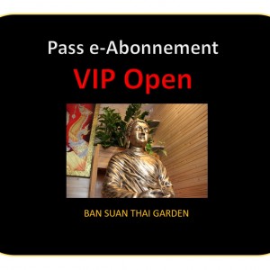e-Abonnement VIP Open